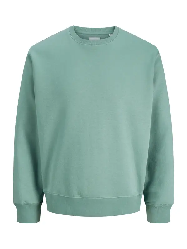 JACK & JONES JACK & JONES Sweater majica 'JJEStar'  pastelno zelena