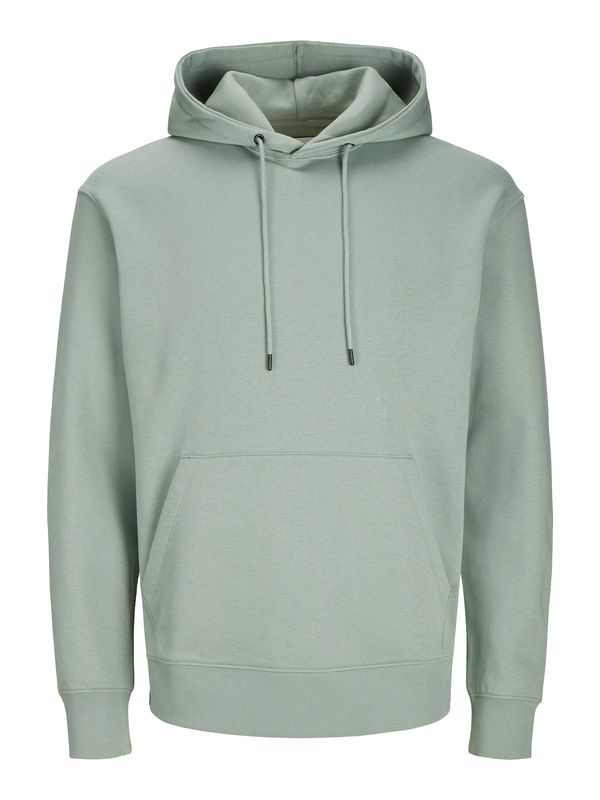 JACK & JONES JACK & JONES Sweater majica 'JJESTAR'  pastelno zelena