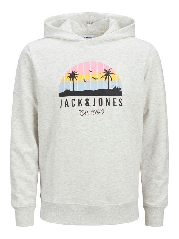 JACK & JONES JACK & JONES Sweater majica 'JJPALM'  zlatno žuta / roza / crna / bijela melange