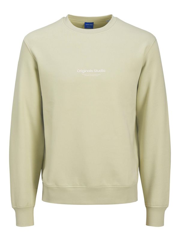 JACK & JONES JACK & JONES Sweater majica 'JORVESTERBRO'  pastelno zelena / bijela