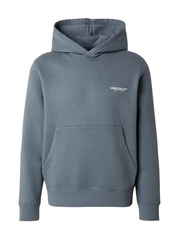 JACK & JONES JACK & JONES Sweater majica 'JWHISLINGTON'  bazalt siva / bijela