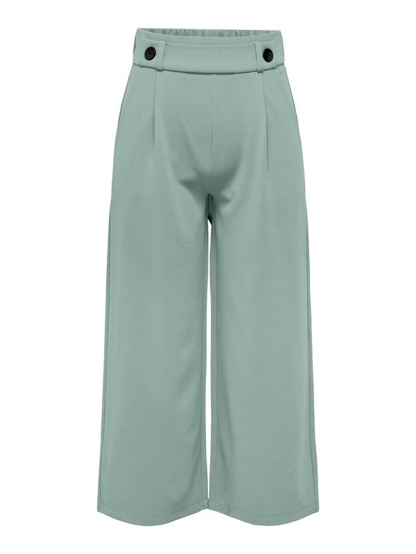 JDY JDY Hlače s naborima 'GEGGO'  menta