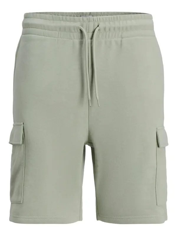 JJ Rebel JJ Rebel Cargo hlače 'JREBGORM'  pastelno zelena