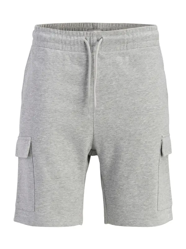 JJ Rebel JJ Rebel Cargo hlače 'JREBGORM'  siva