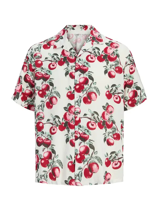 JJ Rebel JJ Rebel Košulja 'JREBFRESH'  menta / kraljevski zelena / tamno crvena / bijela
