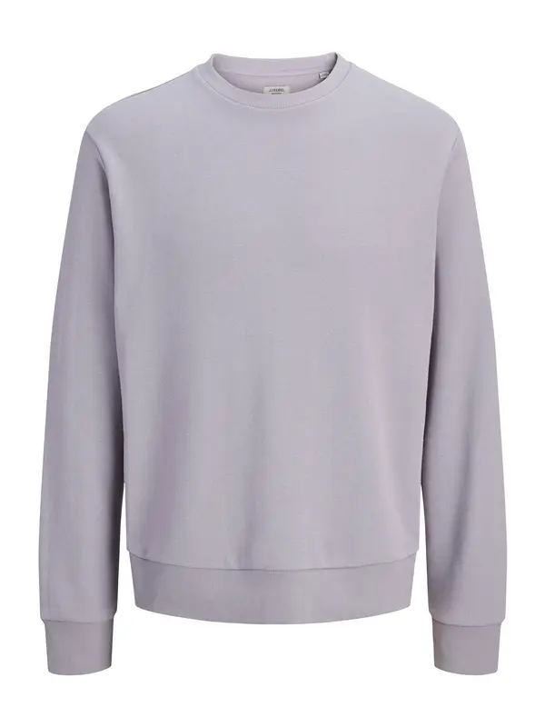 JJ Rebel JJ Rebel Sweater majica 'JREBAARON'  maslinasta / lavanda / breskva / bijela