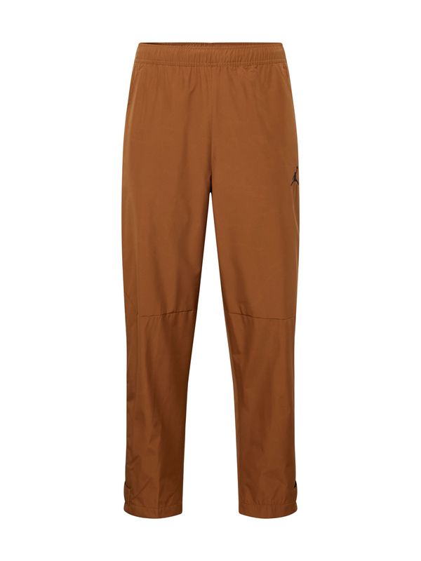 Jordan Jordan Hlače 'Flight Heritage'  zeleno smeđa / crna