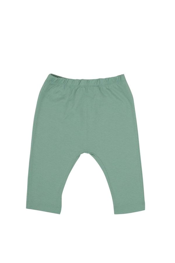 Jrmori Jrmori Tajice  zelena