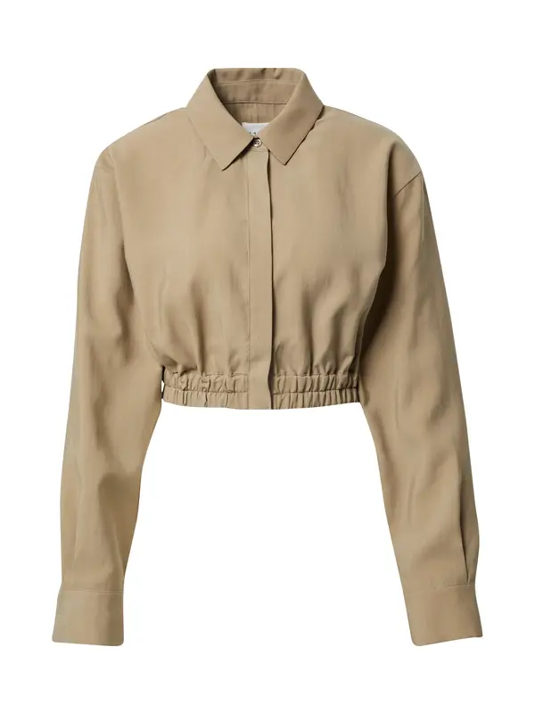 Kendall for ABOUT YOU Kendall for ABOUT YOU Bluza 'Charlie'  boja blata
