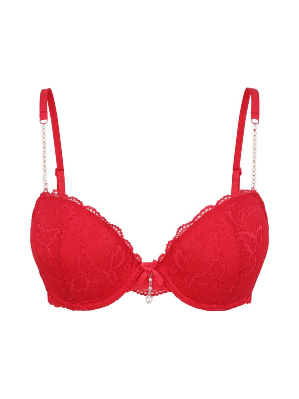 LASCANA LASCANA Grudnjak  crvena