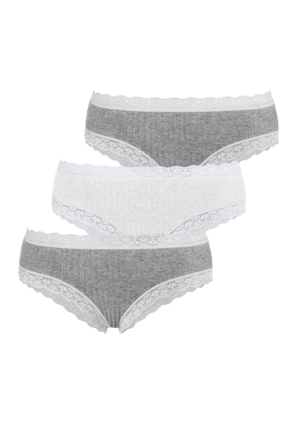 LASCANA LASCANA Slip  siva melange / prljavo bijela