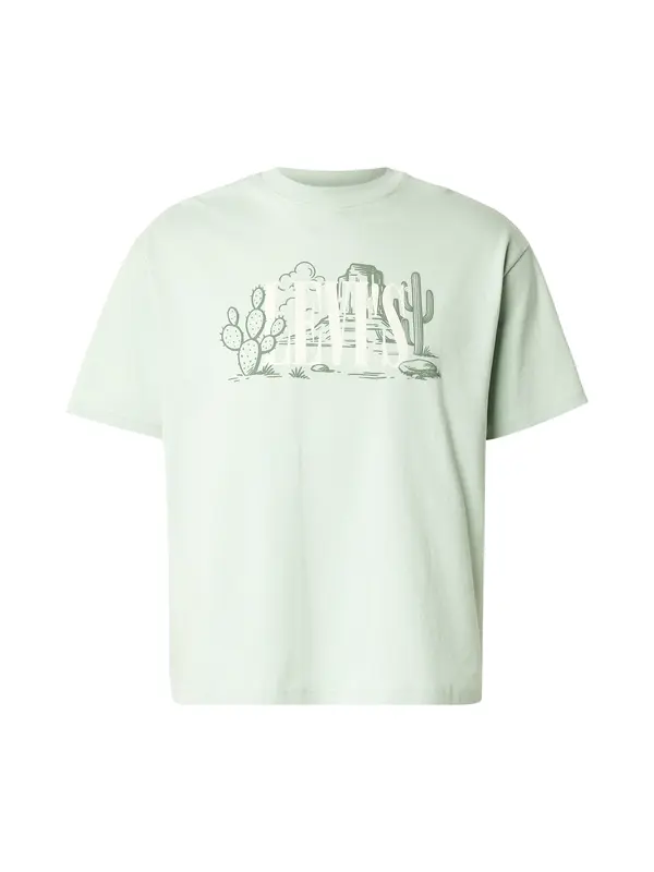 LEVI'S ® LEVI'S ® Majica 'CACTUS'  maslinasta / pastelno zelena / svijetlozelena