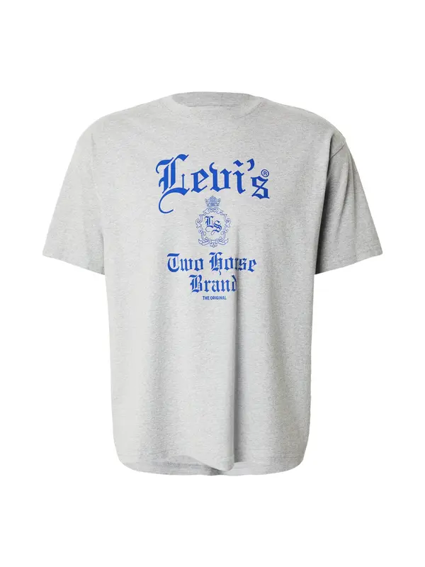 Levi's LEVI'S ® Majica 'Graphic Boxy Tee'  plava / siva melange
