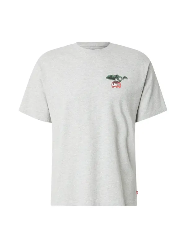 LEVI'S ® LEVI'S ® Majica  siva melange / maslinasta / tamno zelena / ciglasto crvena