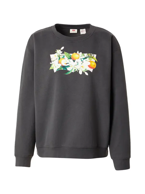 Levi's LEVI'S ® Sweater majica 'Graphic Everyday Crewneck Sweatshirt'  antracit siva / zelena / narančasta / bijela