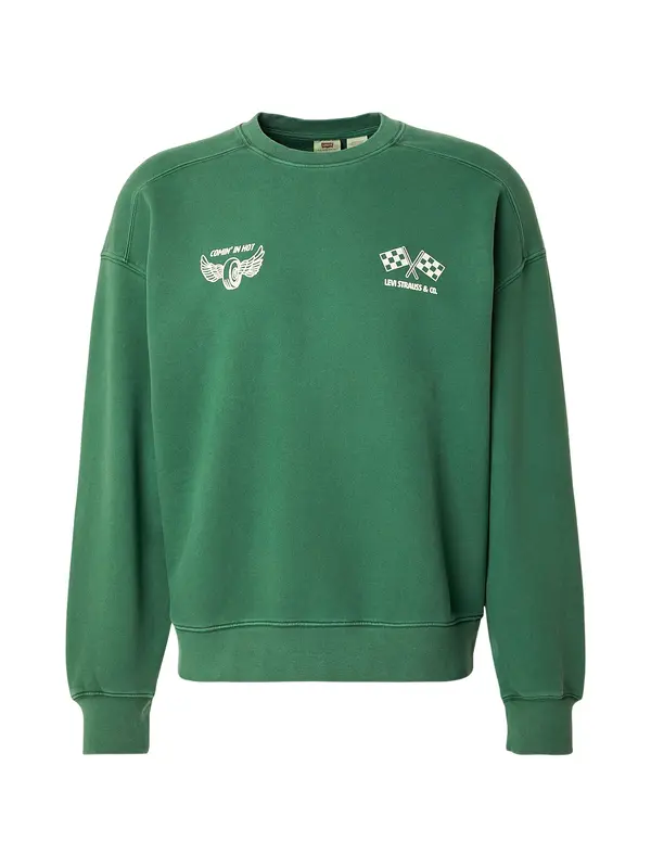 LEVI'S ® LEVI'S ® Sweater majica 'HOT DELIVERY'  sivkasto zelena / prljavo bijela