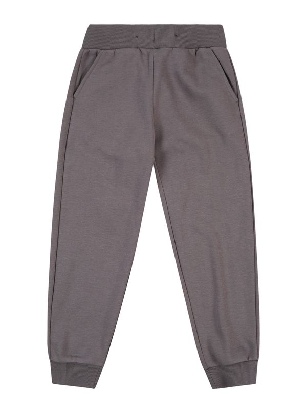 Lindex Lindex Hlače  siva