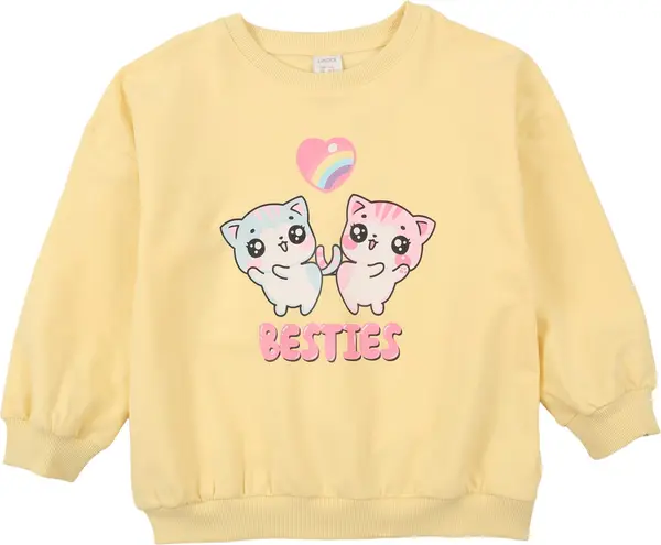 Lindex Lindex Sweater majica  svijetloplava / svijetložuta / roza / bijela