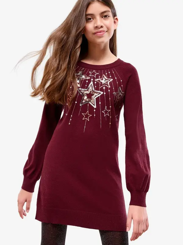 Lipsy Lipsy Haljina  bordo / srebro