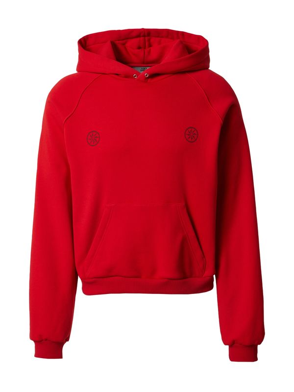 Luka Sabbat for ABOUT YOU Luka Sabbat for ABOUT YOU Sweater majica 'Lino'  crvena