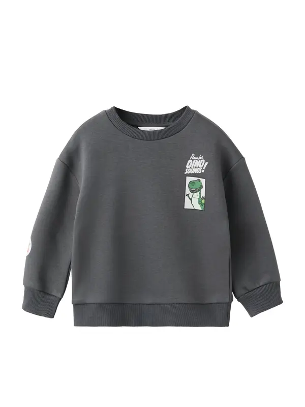 Mango MANGO KIDS Sweater majica 'TOYDINO'  antracit siva / svijetlosiva / kraljevski zelena