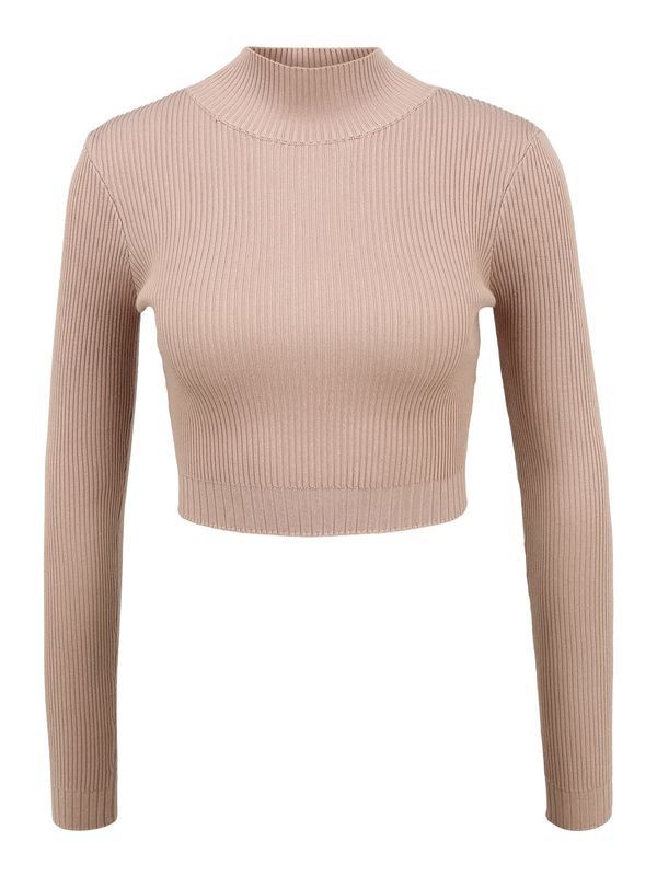 Missguided Petite Missguided Petite Pulover  pijesak