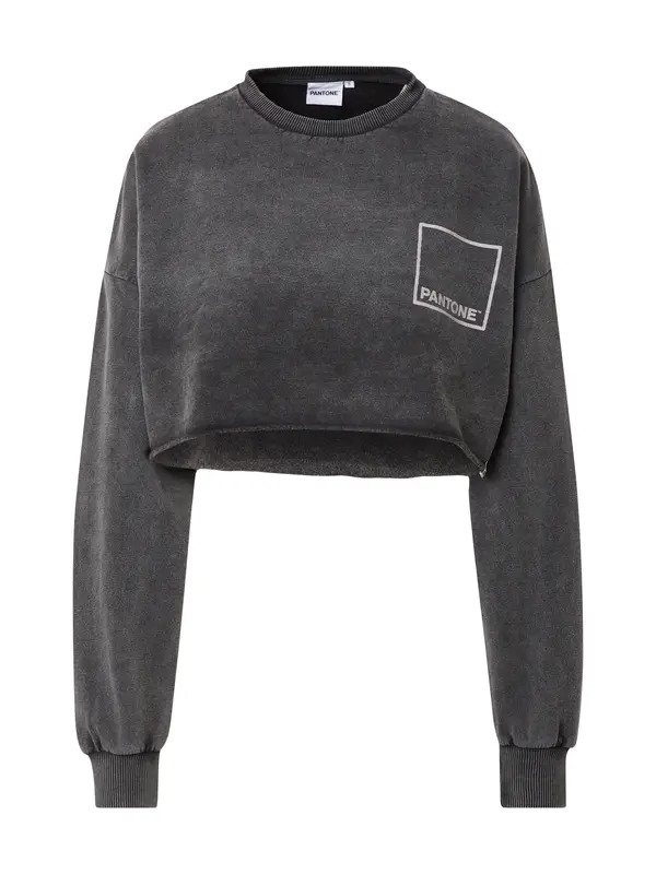 Misspap Misspap Sweater majica  antracit siva / svijetlosiva