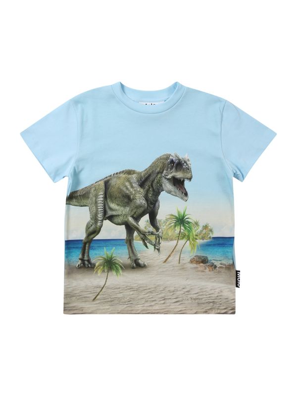 Molo Molo Majica 'Roxo'  plava / svijetloplava / bež siva / tamno zelena