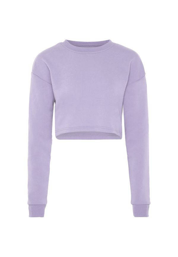 myMo ATHLSR myMo ATHLSR Sweater majica  lavanda