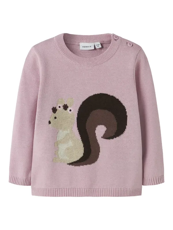 NAME IT NAME IT Pulover 'NBFSOURCE'  čokolada / pastelno zelena / lila / crna