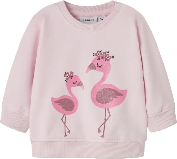 NAME IT NAME IT Sweater majica 'NBFHALL'  roza / roza / rosé
