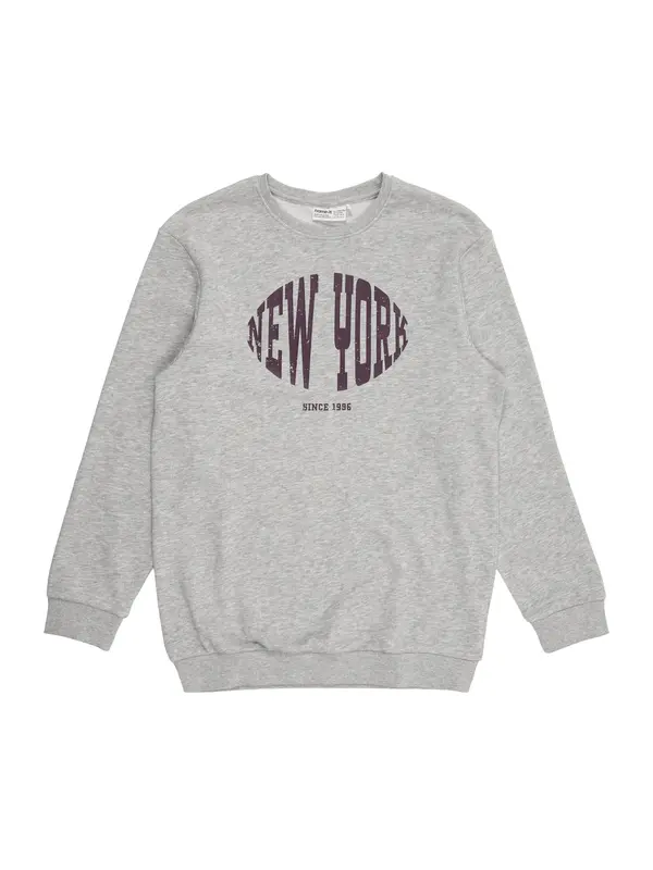 NAME IT NAME IT Sweater majica 'NKFBELLIS'  svijetlosiva / šljiva