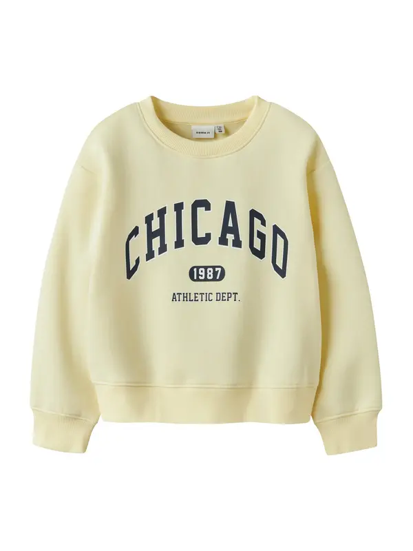 NAME IT NAME IT Sweater majica 'NKFFABIA'  mornarsko plava / pastelno žuta / bijela