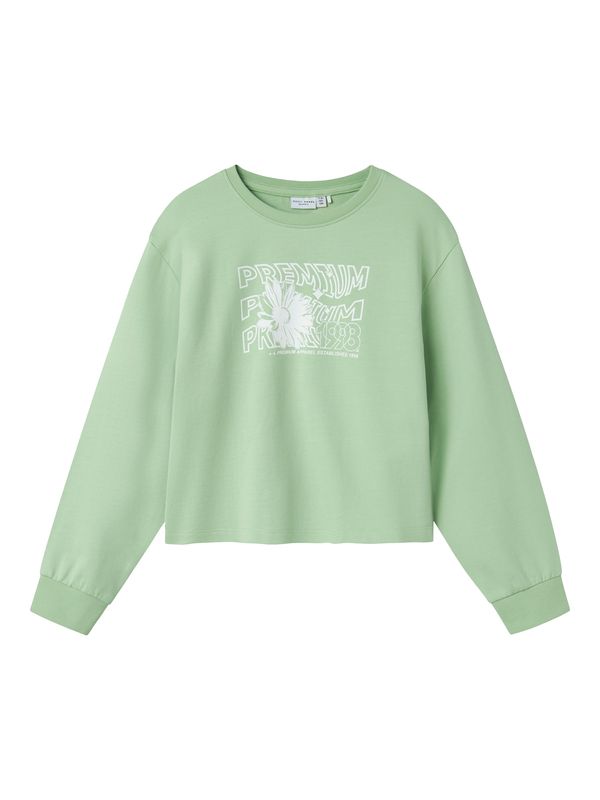 NAME IT NAME IT Sweater majica 'NKFVANITA'  pastelno zelena / bijela
