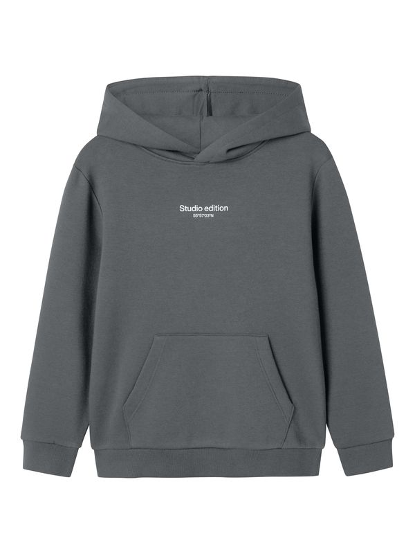 NAME IT NAME IT Sweater majica 'NKMBRODY'  tamo siva / bijela