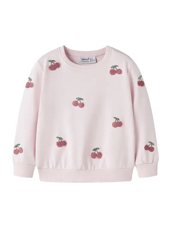 NAME IT NAME IT Sweater majica 'NMFFAIRY'  tamno zelena / rosé / pastelno roza