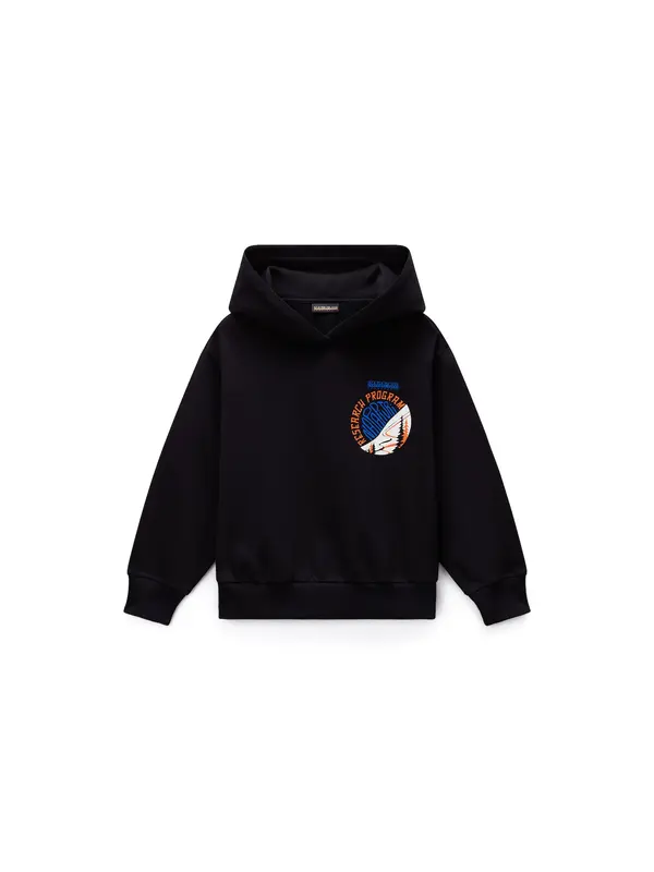 NAPAPIJRI NAPAPIJRI Sweater majica 'Adige'  mornarsko plava / krvavo crvena / crna / bijela