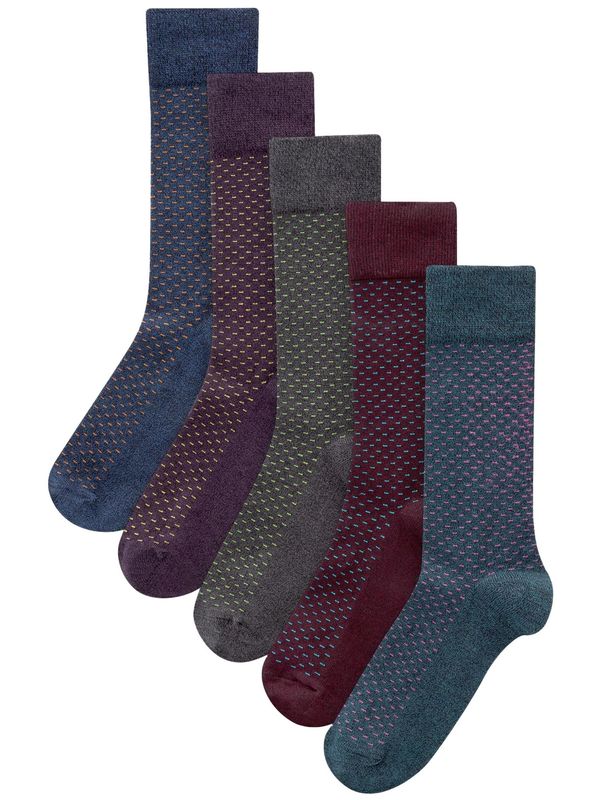 Next Next Čarape  morsko plava / antracit siva / ljubičasta / bordo