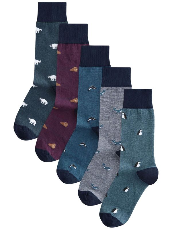 Next Next Čarape  plava / morsko plava / siva melange / ciklama