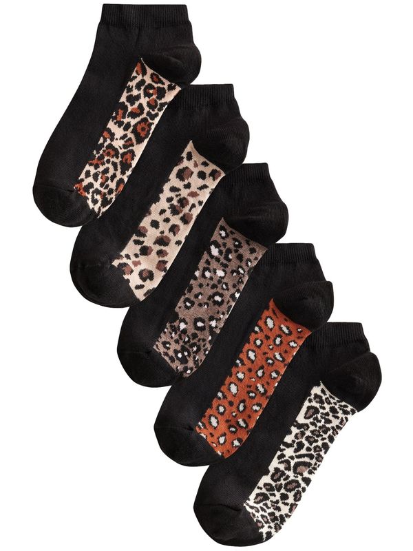 Next Next Čarape  smeđa / miks boja