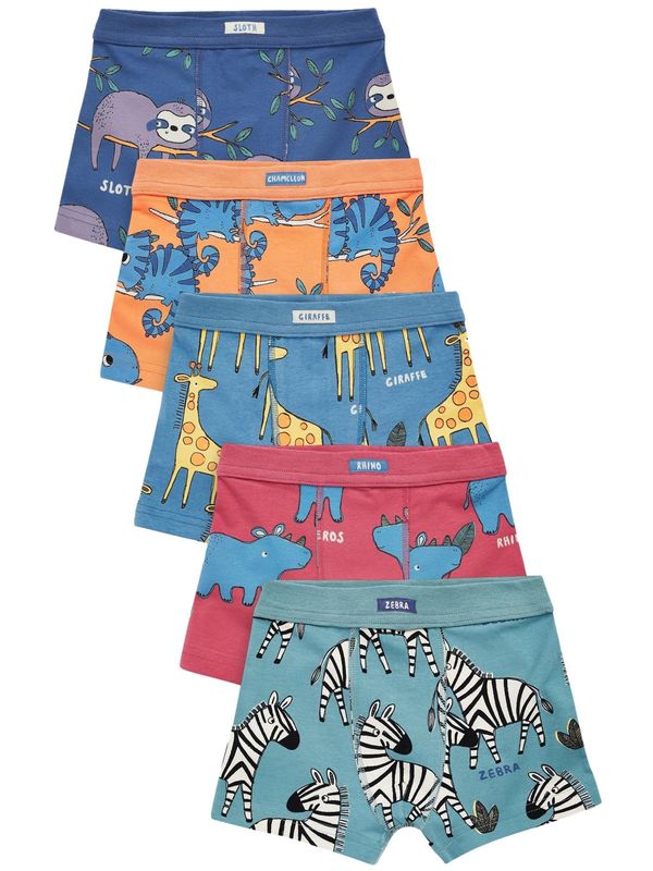 Next Next Gaće  plava / narančasta / bijela