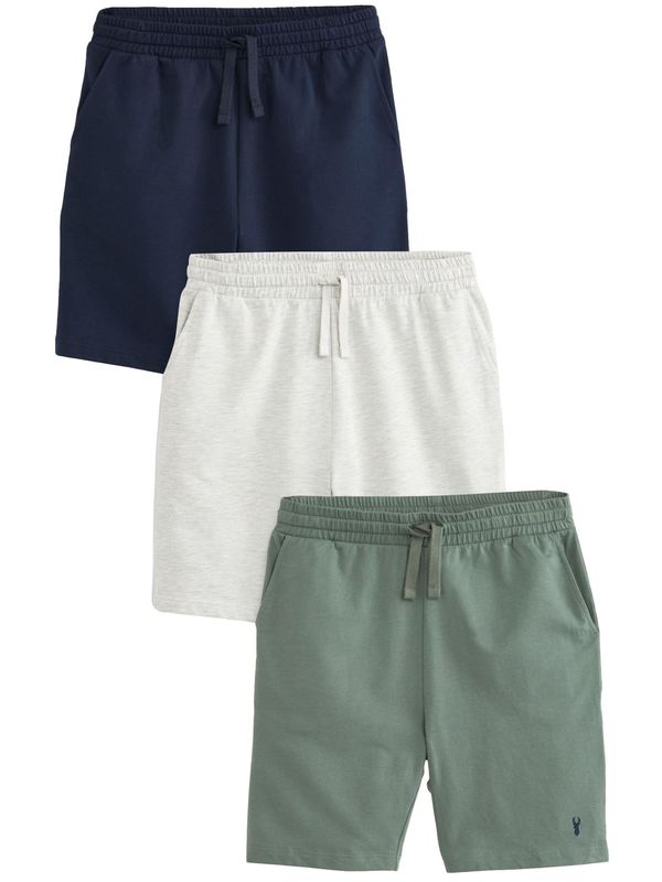 Next Next Hlače  mornarsko plava / siva melange / zelena