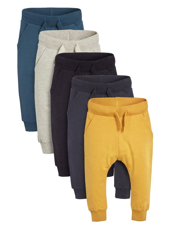 Next Next Hlače  morsko plava / senf / siva melange / crna