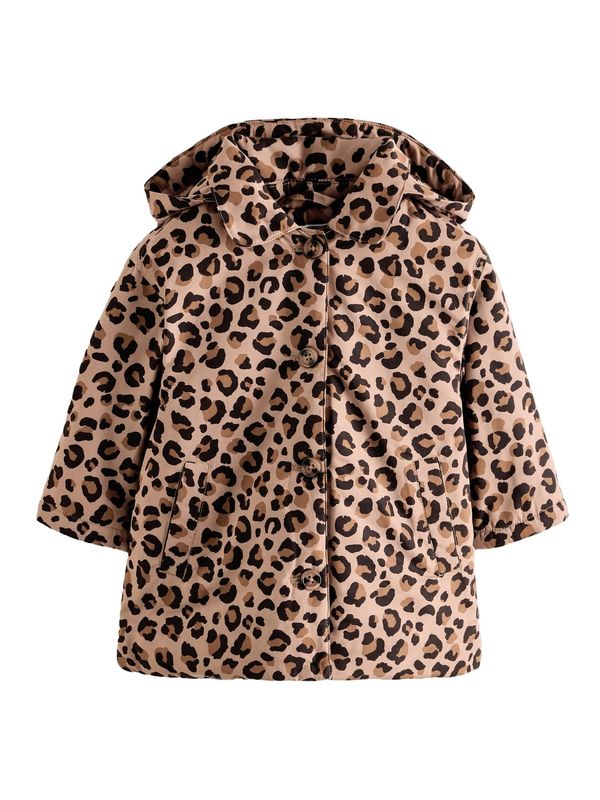 Next Next Kaput  smeđa / kestenjasto smeđa / crna