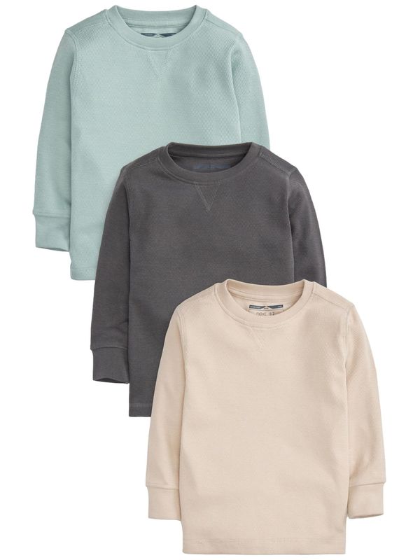 Next Next Majica  bež / svijetloplava / siva