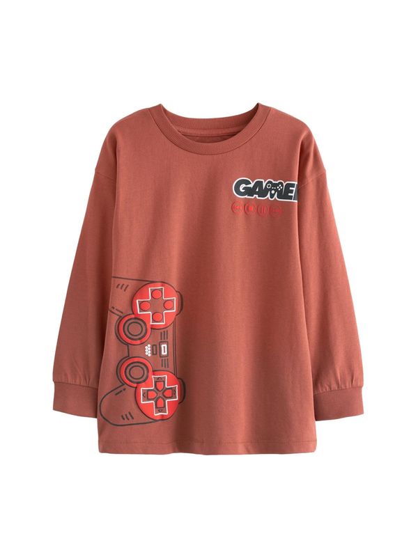 Next Next Majica  hrđavo smeđa / miks boja