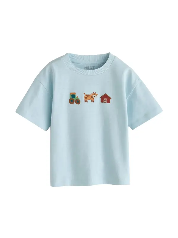 Next Next Majica  pastelno plava / smeđa / hrđavo smeđa / menta