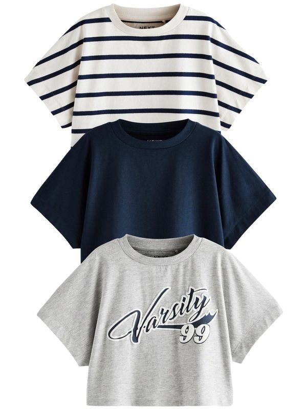 Next Next Majica  plava / siva / bijela