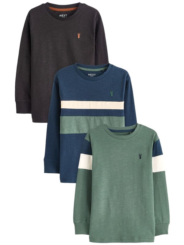 Next Next Majica  plava / smeđa / zelena