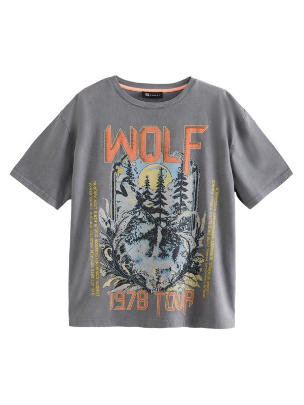 Next Next Majica  siva / miks boja